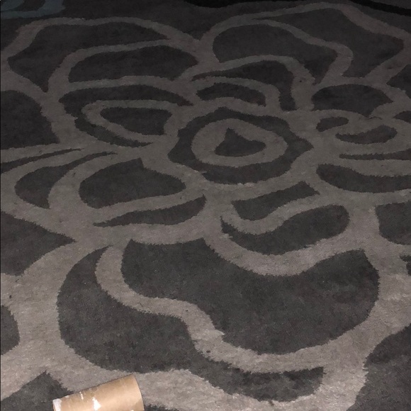 Meet your Posher, Plinio - Picture 1 of 1